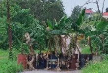 Dinas PUPR Kendari Anggarkan Perbaikan Jalan Banda di Pemeliharaan 2025