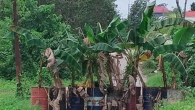 Dinas PUPR Kendari Anggarkan Perbaikan Jalan Banda di Pemeliharaan 2025
