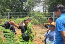 Polda Sultra dan BPN Kolaka Identifikasi Lapang Terhadap Lahan Milik Warga yang Diduga Diserobot PT Rimau