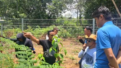 Polda Sultra dan BPN Kolaka Identifikasi Lapang Terhadap Lahan Milik Warga yang Diduga Diserobot PT Rimau
