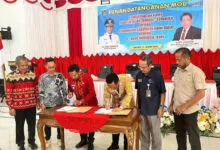 Kapal Feri Rute Tondasi–Torobulu Beroperasi Mulai 26 Maret 2025