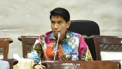 Honorer Lulus PPPK 2024 Tetap Berkantor Meski SK Pengangkatan Diundur 2026