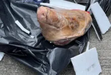 Tempo Mendapat Kiriman Kepala Babi
