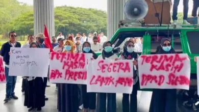 Honorer yang Lulus CPNS dan PPPK 2024 di Sultra akan Tetap Digaji hingga Pengangkatan