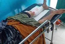 BAB di Sungai, Seorang Warga Mubar Diterkam Buaya