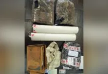 BNNP Sultra Ungkap Kasus Peredaran Ganja Seberat 3 Kg