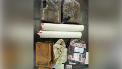 BNNP Sultra Ungkap Kasus Peredaran Ganja Seberat 3 Kg