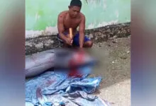 Beredar Video Seorang Nelayan di Muna Sembelih Seekor Lumba-Lumba
