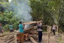 Polisi Bakar Arena Judi Sabung Ayam di Muna Barat