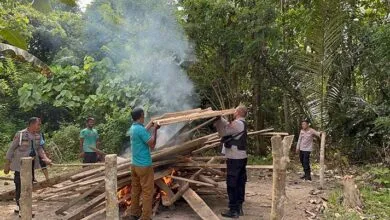 Polisi Bakar Arena Judi Sabung Ayam di Muna Barat