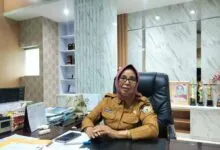 Pemprov Sultra Stop Perekrutan Tenaga Honorer Tahun Ini