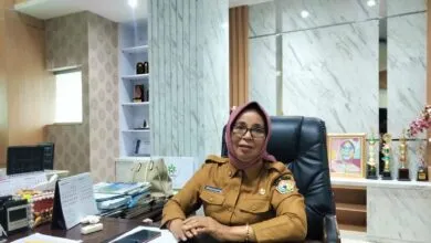 Pemprov Sultra Stop Perekrutan Tenaga Honorer Tahun Ini