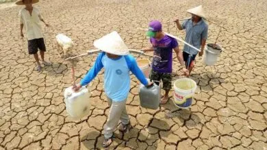 Krisis Air Bersih, Warga Mowila Konsel Gunakan Air Hujan untuk Kebutuhan Sehari-hari