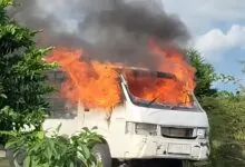 Dua Pencuri Sapi di Buton Tengah Diamankan Polisi, Pelaku Nyaris Diamuk Massa