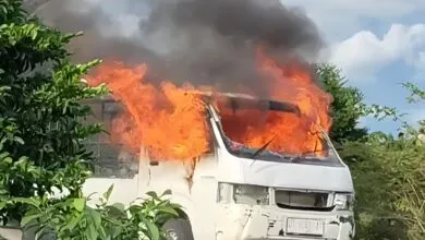 Dua Pencuri Sapi di Buton Tengah Diamankan Polisi, Pelaku Nyaris Diamuk Massa