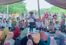 Pemkab Mubar Siap Bagikan Bibit Jagung Kuning Bisi-2 Sebanyak 20.500 Ton ke Petani
