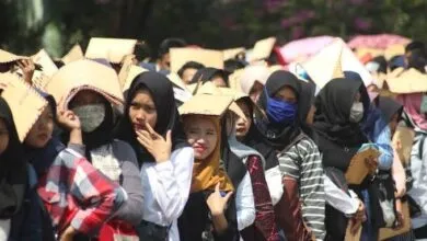 Disnakertrans akan Serap Tenaga Kerja Sultra melalui Program Samudera