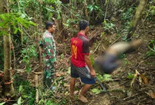 Hilang Lima Hari, Guru SMP di Buton Utara Ditemukan Meninggal Dunia