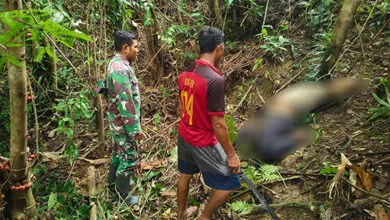 Hilang Lima Hari, Guru SMP di Buton Utara Ditemukan Meninggal Dunia
