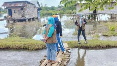 Diguyur Hujan Dua Hari, Sawah dan Ratusan Rumah di Muna Barat Terendam Banjir