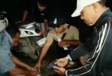 Polisi Ringkus Pengedar Narkoba di Kendari, Modusnya Sembunyikan Sabu di Kantong Plastik Berisi Pisang