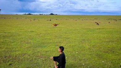 Dinilai Ancam Kawasan Wisata Bukit Teletabies Bombana, Pemuda Tolak Hadirnya PT BSB di Desa Laea