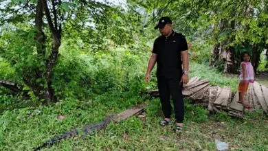 Warga Muna Barat Digegerkan Munculnya Anak Buaya