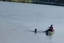 Pelaku Pencurian di Lapak Warga di Jalan Bypass Raha Terjun ke Laut saat Hendak Ditangkap
