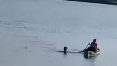 Pelaku Pencurian di Lapak Warga di Jalan Bypass Raha Terjun ke Laut saat Hendak Ditangkap
