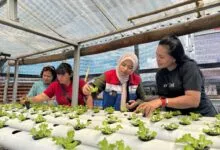 Pertamina Patra Niaga IT Bitung Dukung Pemberdayaan IRT Lewat Penanaman Sayur Hidroponik