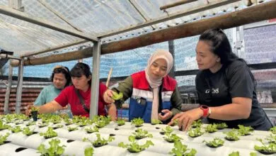 Pertamina Patra Niaga IT Bitung Dukung Pemberdayaan IRT Lewat Penanaman Sayur Hidroponik