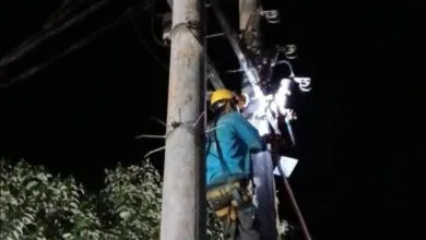 PLN Berhasil Pulihkan 100 Persen Kelistrikan Sulawesi Tenggara dan Luwu Raya