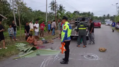 Tabrakan Maut Mobil vs Motor di Buton Tengah, Dua Orang Tewas di Tempat
