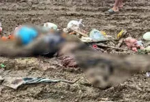 Penjual Sayur Tewas Terlindas Truk Rem Blong Milik PT VDNI