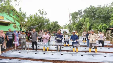PT Antam dan USN Kolaka Gagas Program Konasara di Pelambua