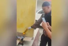 Warga Ranomeeto Konsel Temukan Jasad Bayi Perempuan dalam Kardus di Teras Masjid