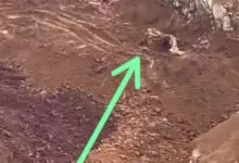 Dua Karyawan Tambang di Wilayah IUP PT Bosowa Mining Konut Tewas akibat Kecelakaan Kerja