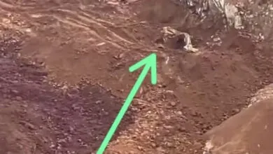 Dua Karyawan Tambang di Wilayah IUP PT Bosowa Mining Konut Tewas akibat Kecelakaan Kerja