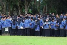 ilustrasi cpns