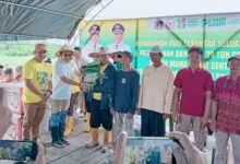 Pemkab Mubar Gelar Penanaman Padi Serentak Seluas 866 Hektare, Target Swasembada Beras 2026