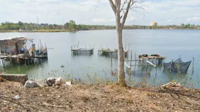 Dinilai Kumuh, Karamba Ikan di Bypass Muna Ditertibkan Satpol PP