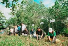 Pertamina Patra Niaga IT Bitung Gelar Aksi Bersih Pantai dan Penanaman Mangrove