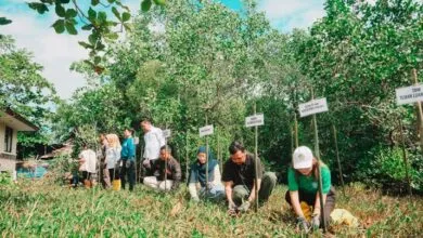 Pertamina Patra Niaga IT Bitung Gelar Aksi Bersih Pantai dan Penanaman Mangrove