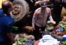 Truk Rem Blong Masuk Jurang, Satu Orang Tewas