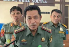 Pulau Labengki Berpotensi Rusak Akibat Dilalui Kapal Tongkang, 13 IUP Belum Kantongi Izin Lintas Konservasi TWAL