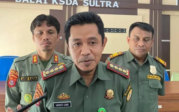 Pulau Labengki Berpotensi Rusak Akibat Dilalui Kapal Tongkang, 13 IUP Belum Kantongi Izin Lintas Konservasi TWAL