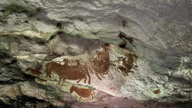 Situs Peninggalan Purbakala, Gua di Tanah Muna Diusul Jadi Warisan Budaya Gua Tertua di Dunia