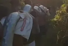 Penemuan Ular Piton Sepanjang Delapan Meter Gegerkan Warga Mabolu Muna