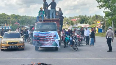 Hutan Lindung di Desa Amasara Diduga Dijual ke Masyarakat, Bupati Konsel Minta Data Oknum yang Terlibat