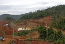 Satgas PKH Geledah Kantor Tambang di Sulawesi Tenggara Terkait Penggarapan Kawasan Hutan